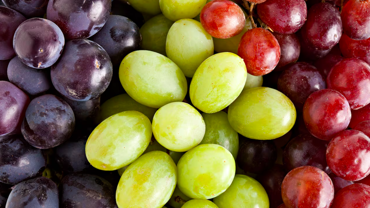 exportación de uvas chilenas