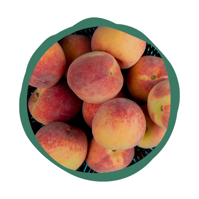 exportación de duraznos