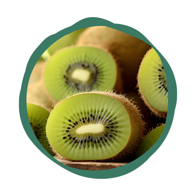 exportación de kiwis