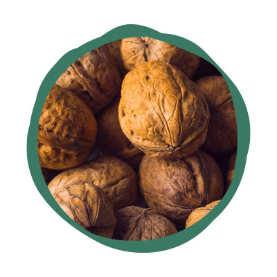 exportación de nueces y frutos secos